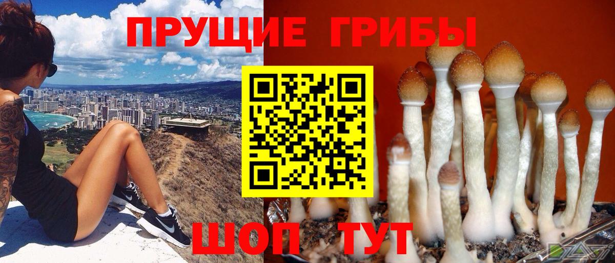 Галлюциногенные грибы мицелий Чебоксары